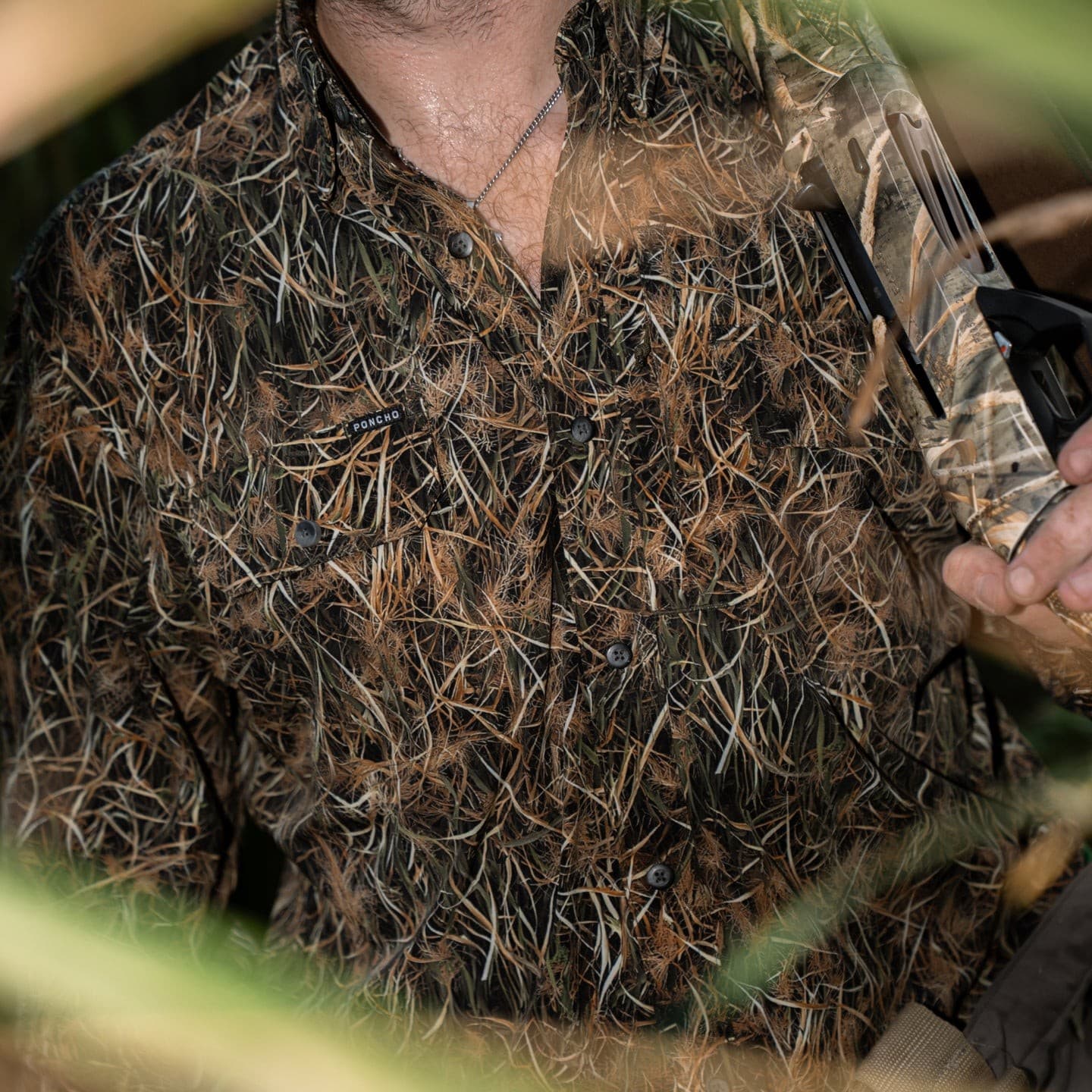 The Banded Duck