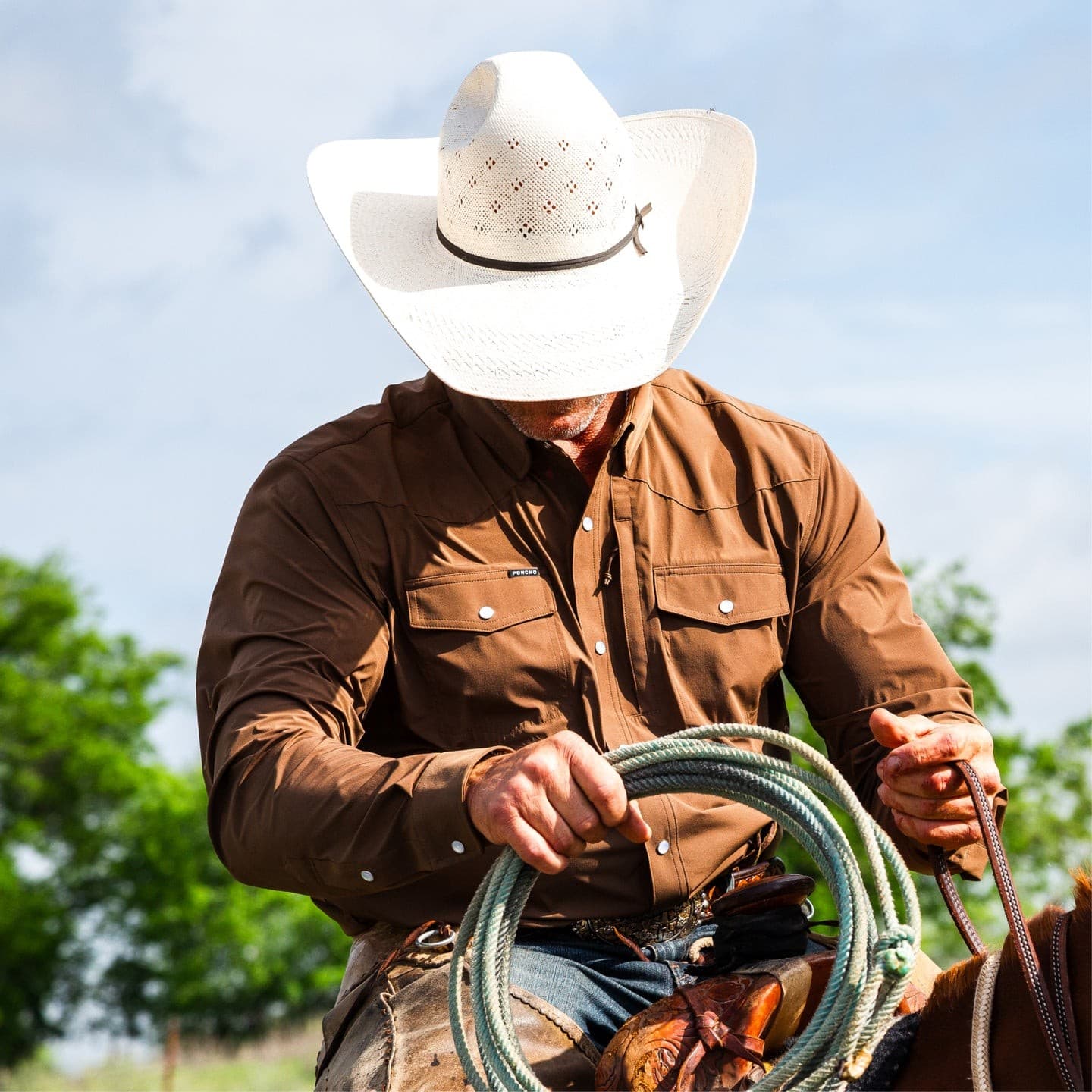 The Lewis
